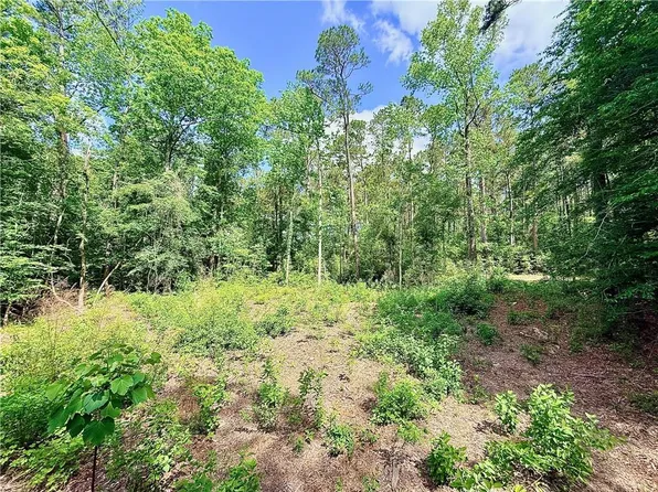 87474 Vineyard Rd, Folsom, LA 70437