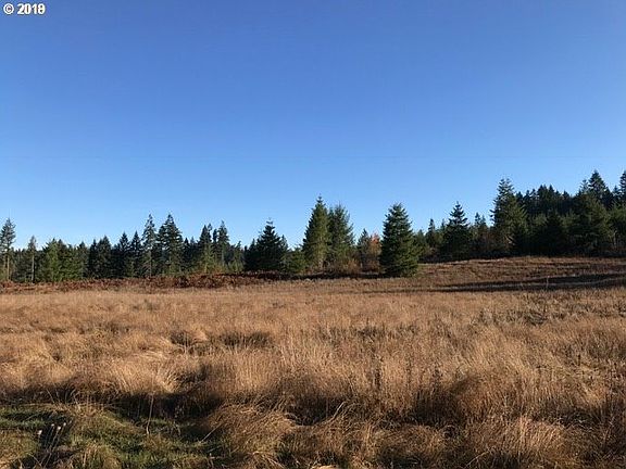 3rd image of 0 NE 217th Ave