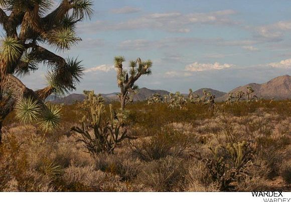 1st image of Lot 341 Lake Havasu Acres