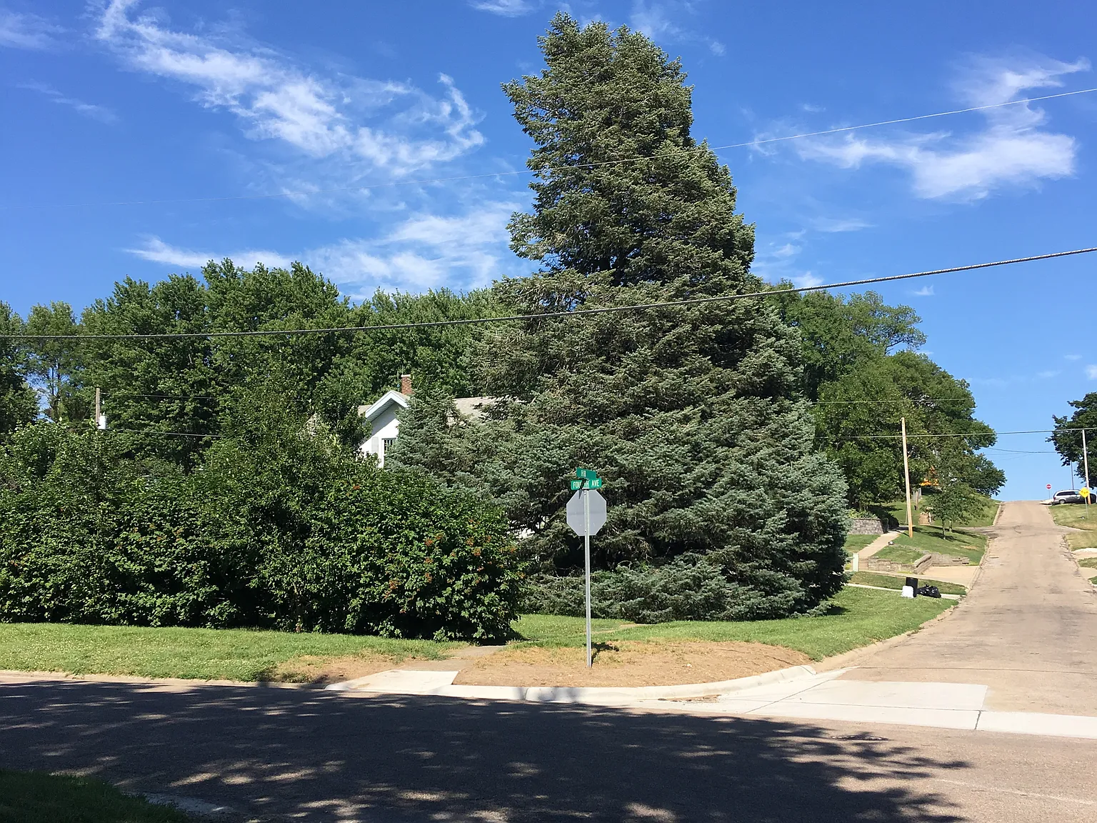 4 bed, 1500 sqft, $1,275 — Photo 3