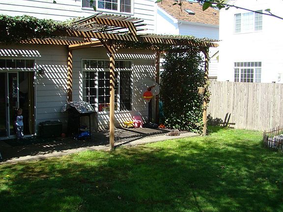 Back Patio View