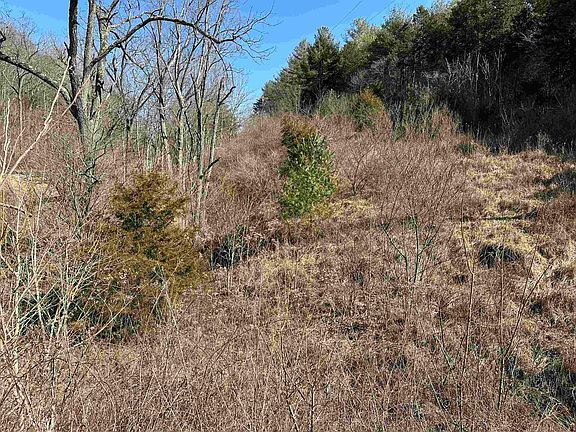 4th image of Walkers Creek Valley Rd