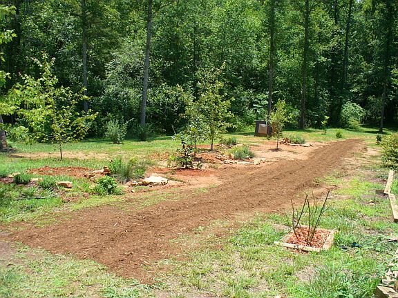 Path leading to branch