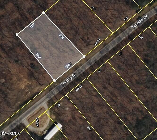 1st image of Timothy Dr