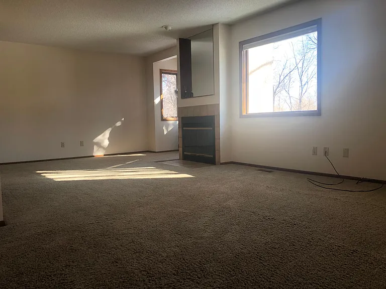 Sunny living room with wood-burning fireplace