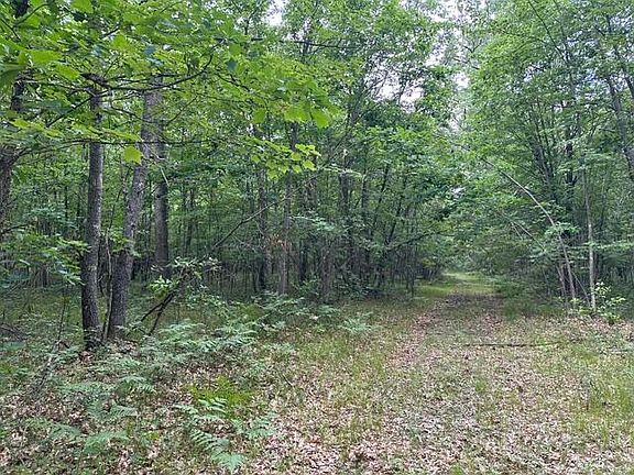 3rd image of 10063 N Irons Rd