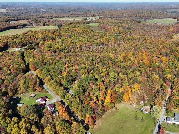 24 Acres Along Rte #580, Cherry Tree, PA 15724