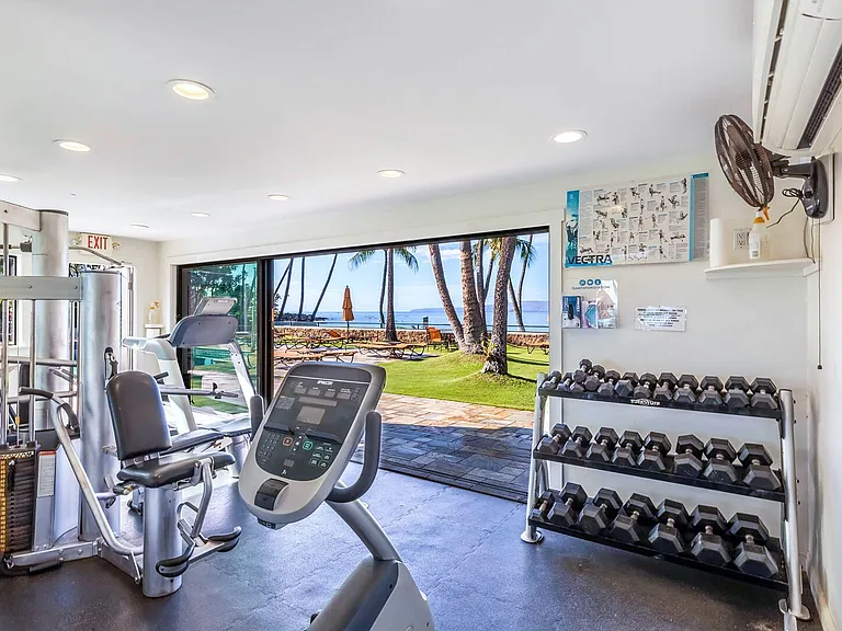 Wailea Alanui Dr — Photo 43