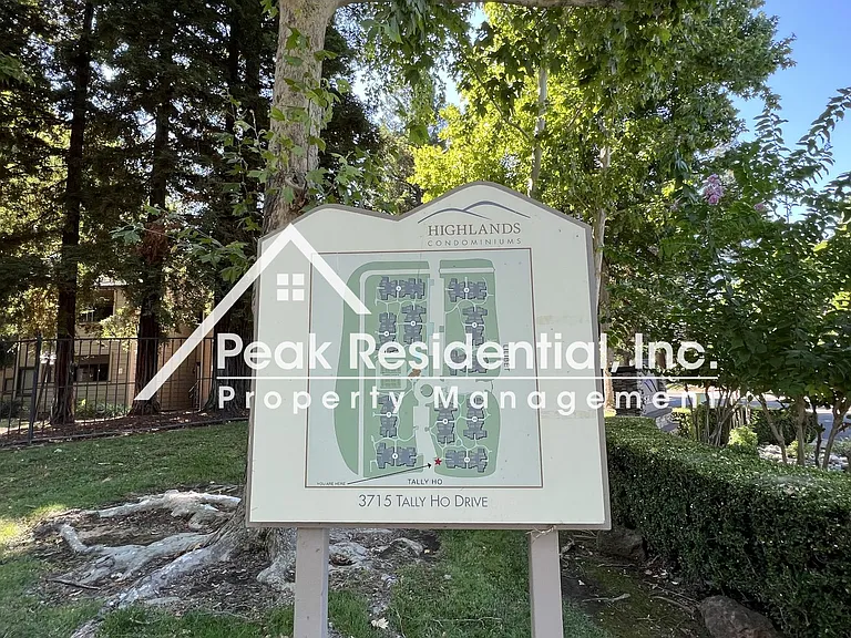 3715 Tallyho Dr — Photo 17