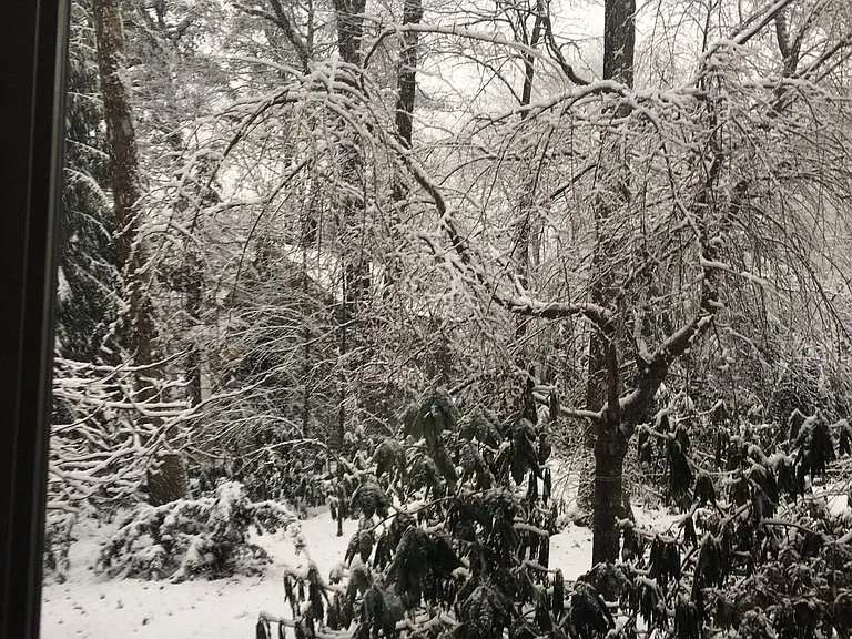 WINTER