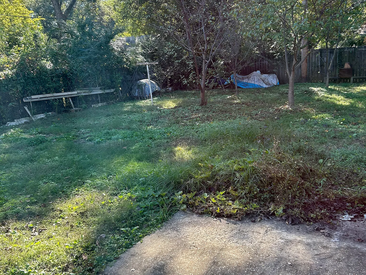 756 Margo Ln — Photo 4