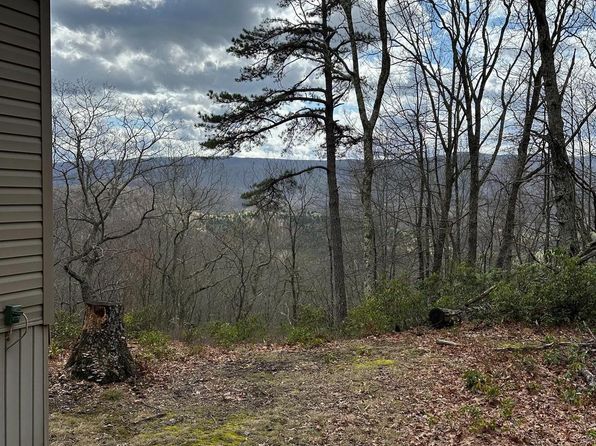 1402 High Valley Dr, Franklin, WV 26807