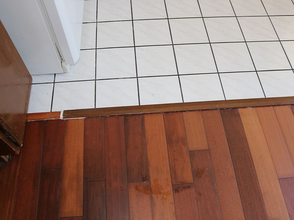 1st image of 1784 Olivetree Dr