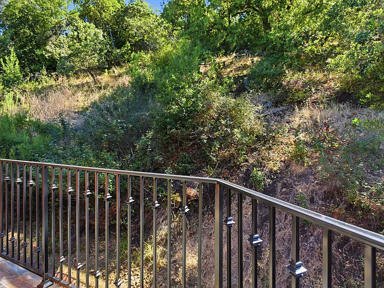 3911 Pepper Tree Ct — Photo 52