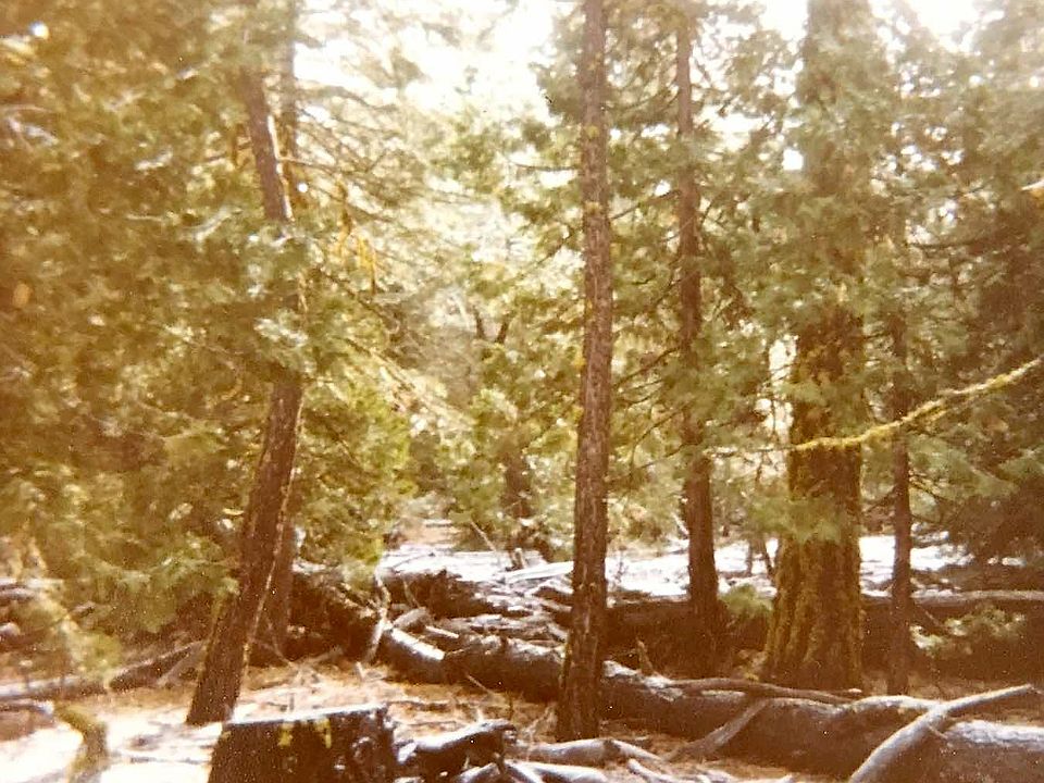 1st image of Rough And Ready Rd