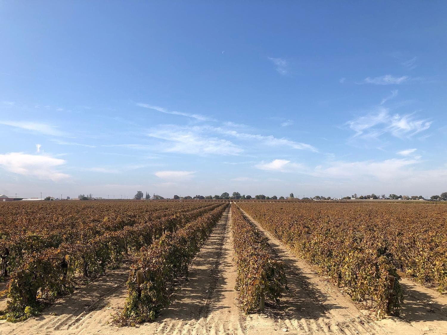 2247 W Magnolia Ave, Caruthers, CA 93609 Zillow