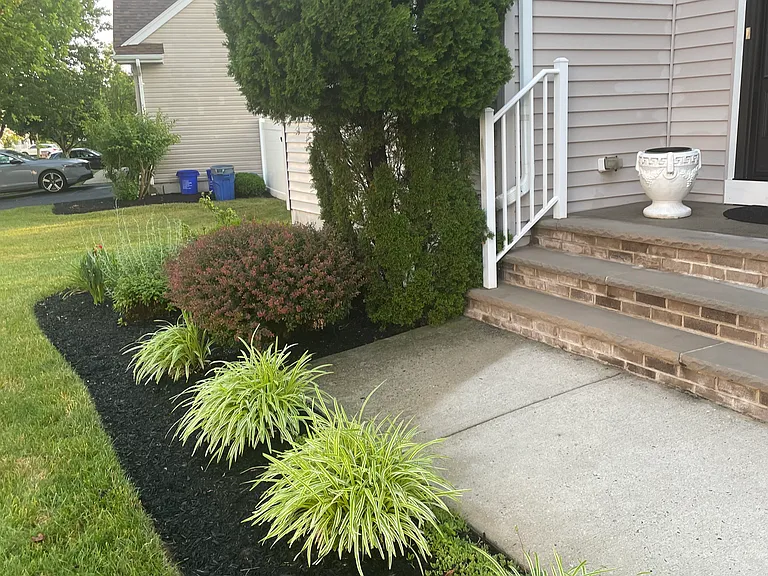 Professional landscaping