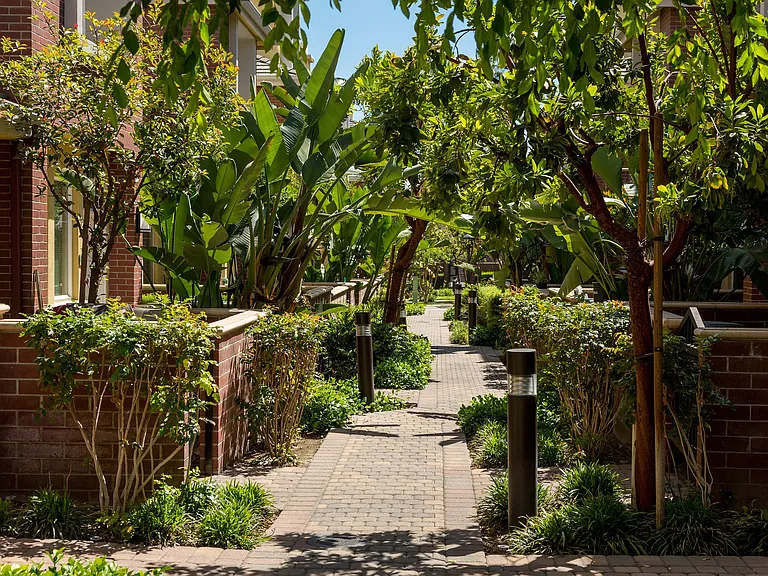 Beautiful walkway