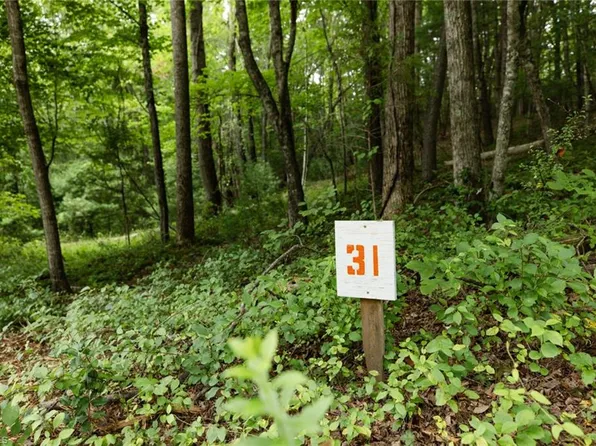 McIntosh Dr Lot 31, Lowgap, NC 27024