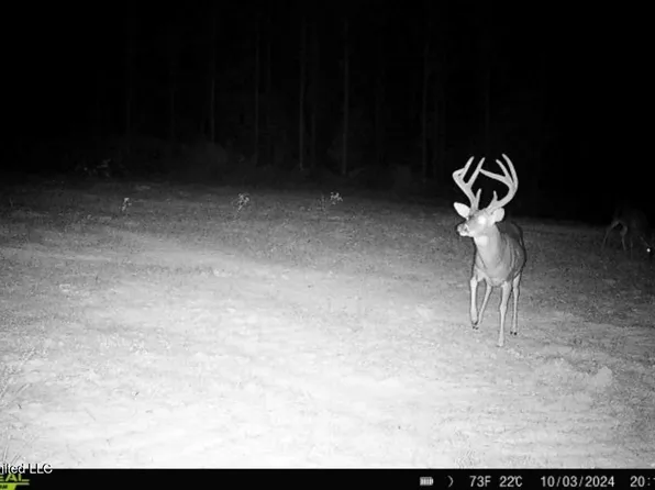 8 Oxford Meadville Rd, Gloster, MS 39638