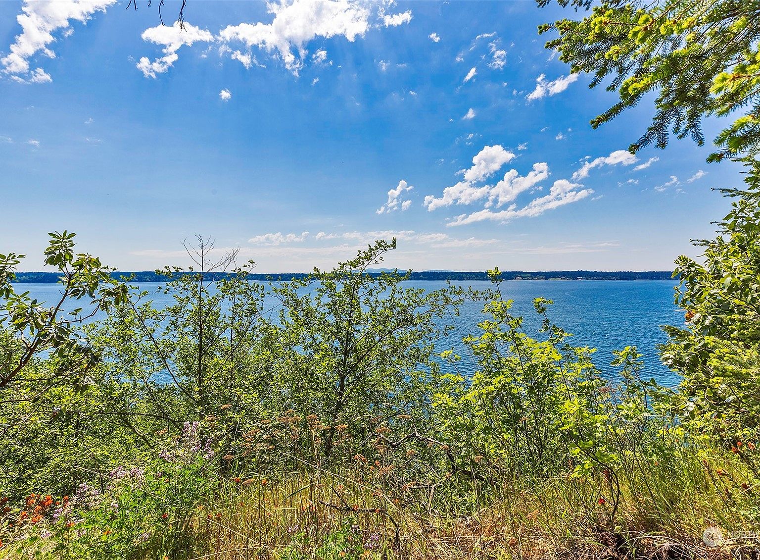 11612 150th Avenue, Anderson Island, WA 98303 Zillow