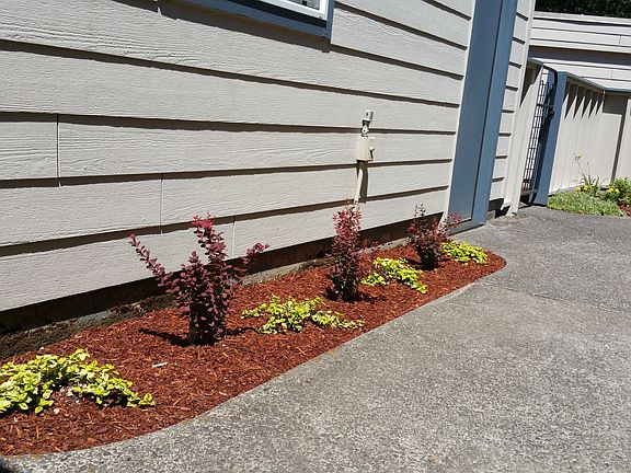 Courtyard planting bed
