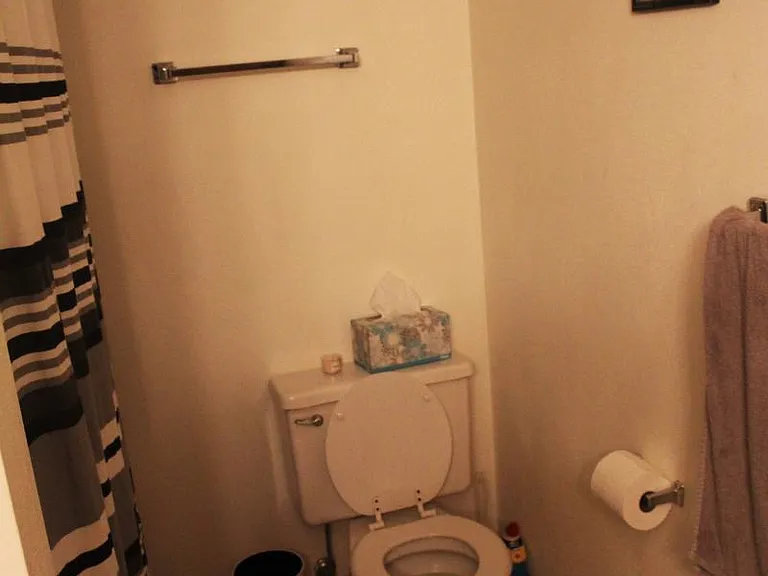 884 Hemlock Dr — Photo 6