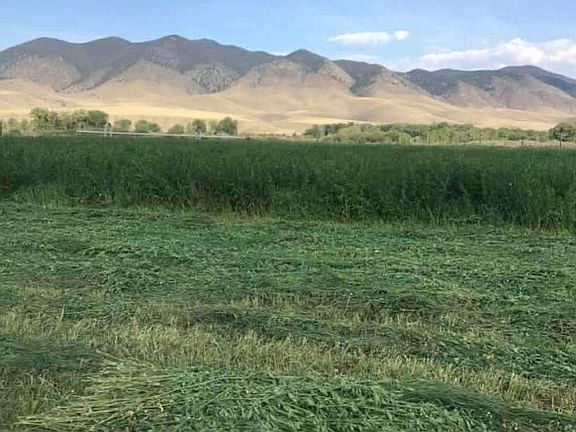 5th image of Tbd Schoolhouse Rd