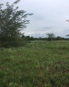 1st image of 0 Vz County Road 3501