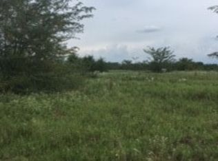 0 Vz County Road 3501, Wills Pt, TX 75169