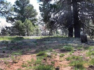 492 Prospect Blvd, Pagosa Springs, CO 81147