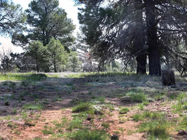 492 Prospect Boulevard, Pagosa Springs, CO 81147