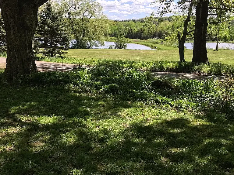 853 Rice Rd — Photo 4