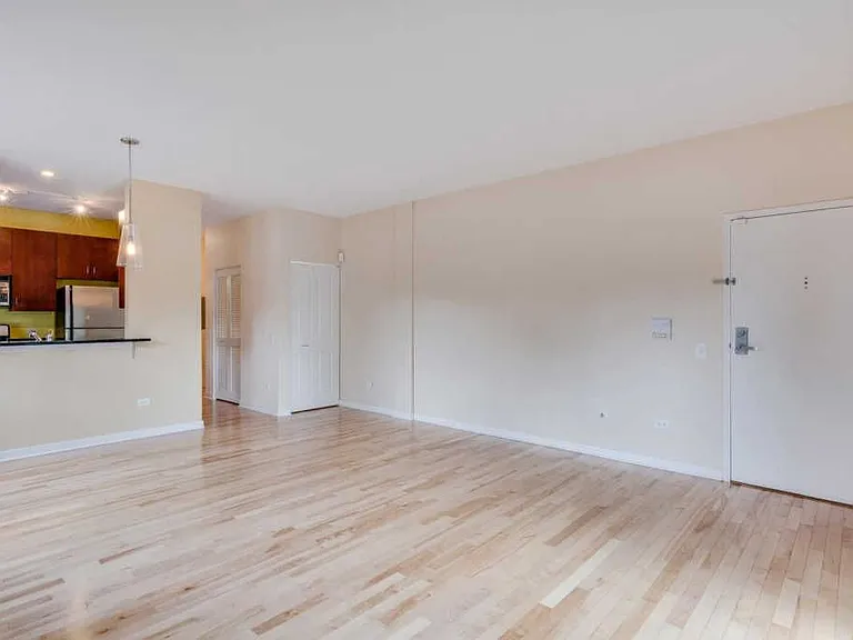 1270 S Blue Island Ave #101 — Photo 6