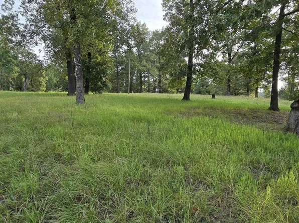 102 Owasso Trl, Bismarck, AR 71929