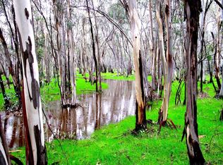 13467 Borden Rd, Herald, CA 95638