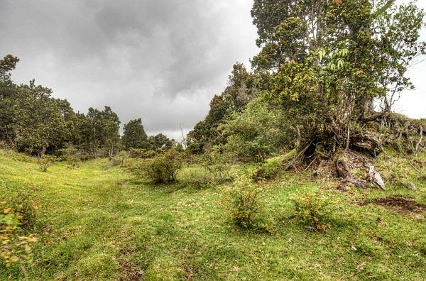 2nd image of Wright Rd