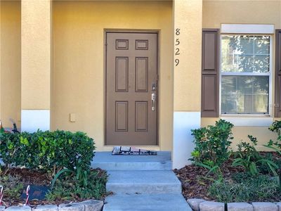 8529 Brushleaf Way, Tampa, FL, 33647