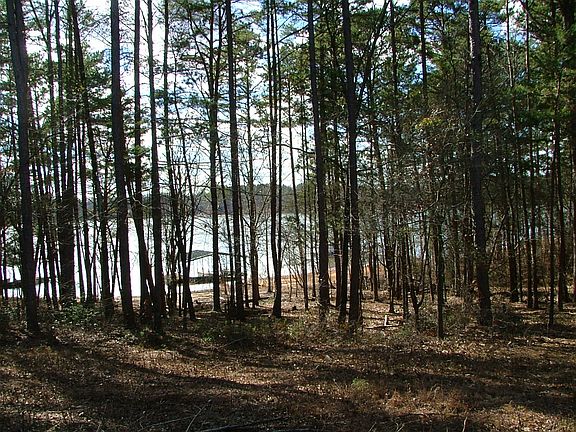 Sloped lot on deep water