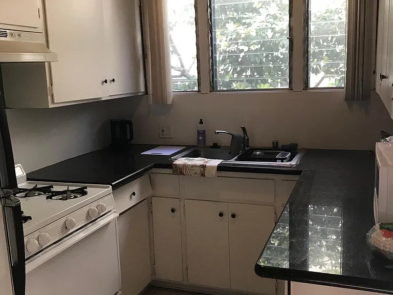 217 S Elm Dr #3 — Photo 4