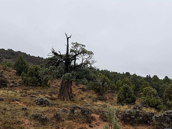 5th image of 660 Pack Saddle Rd