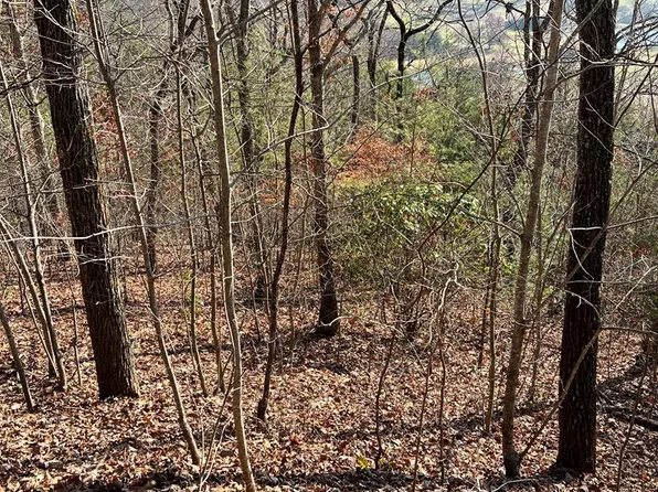 LOT-56C Indian Trl, Hayesville, NC 28904