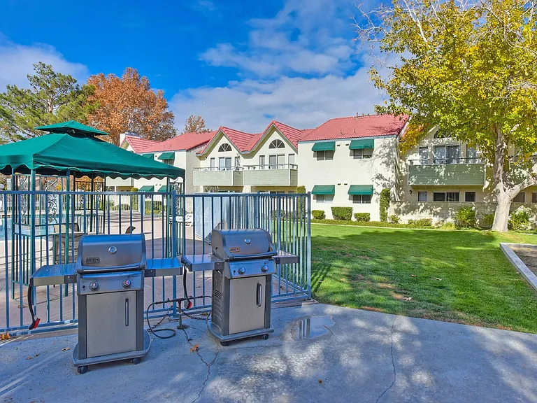 Outdoor BBQ Picnic Area