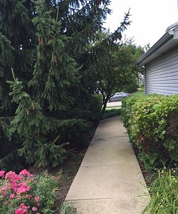 5th image of 2428 Stoughton Cir #2428