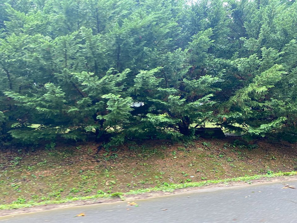 2nd image of 156 Laura Boling Loop Rd