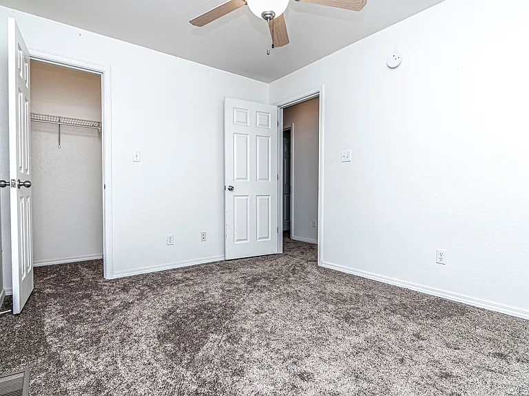 912 Whitetail Ct — Photo 20