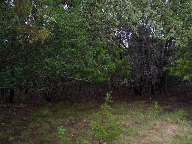 1st image of 560 Circleview Dr