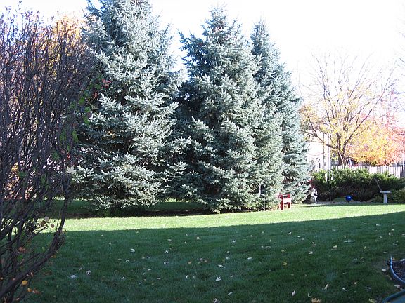4th image of 2213 W Prairie Creek Dr