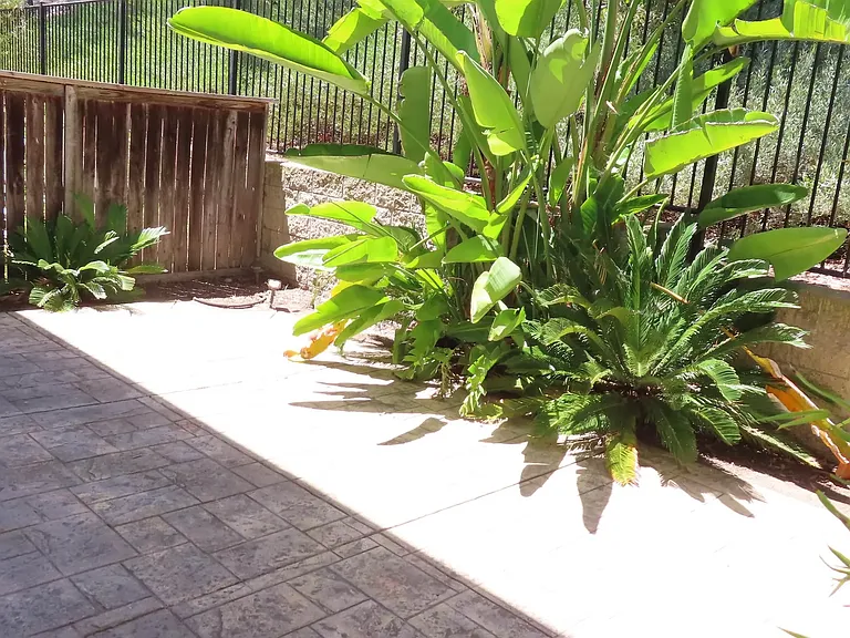 3755 Carmel View Rd #3 — Photo 41