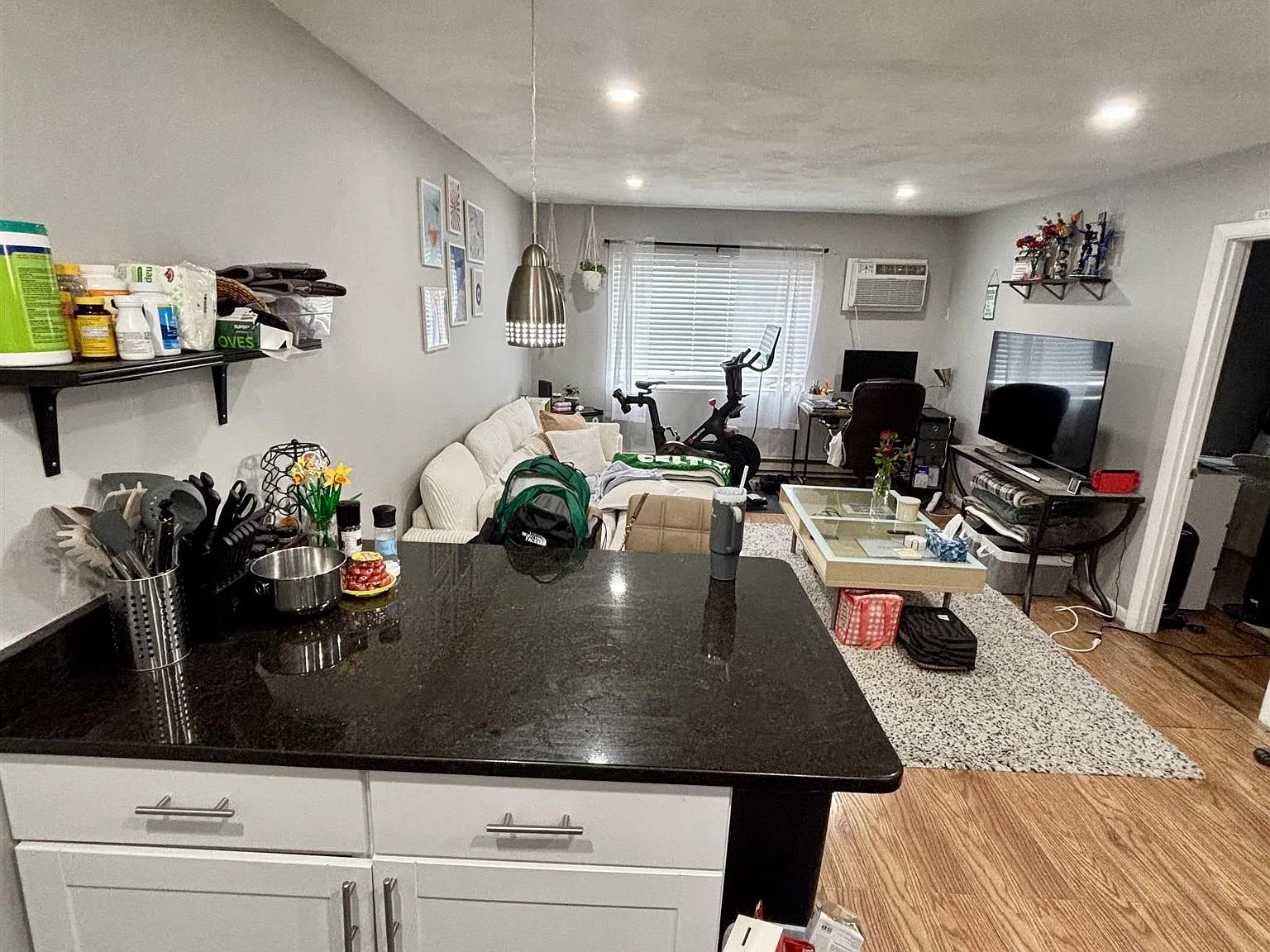 1 bed, 550 sqft, $2,550 — Photo 4